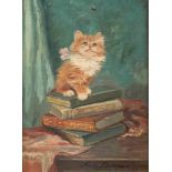 META PLÜCKEBAUM1876 Dortmund - 1945 DüsseldorfDie gelehrte Katze Öl auf Holz. 40,5 x 30 cm (R. 52