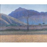 JOSÉ AMÉRICO MALANCA1897 Córdoba - 1967 AnguloBolivianische Landschaft Öl auf Leinwand. 60 x 75,5 cm