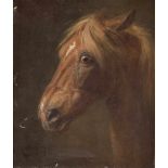 WILHELM CAMPHAUSENDüsseldorf 1818 - 1885Detailstudie eines Pferdekopfes Öl auf Leinwand. 26 x 22