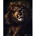 Antique 19th C. Roaring Lion Portrait Oil Painting