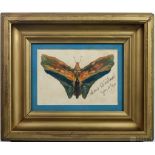 Albert Bierstadt Gouache Butterfly Moth Painting