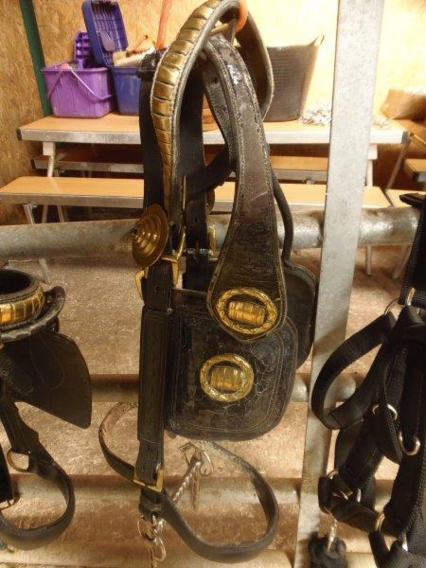 Bridle with brasses
