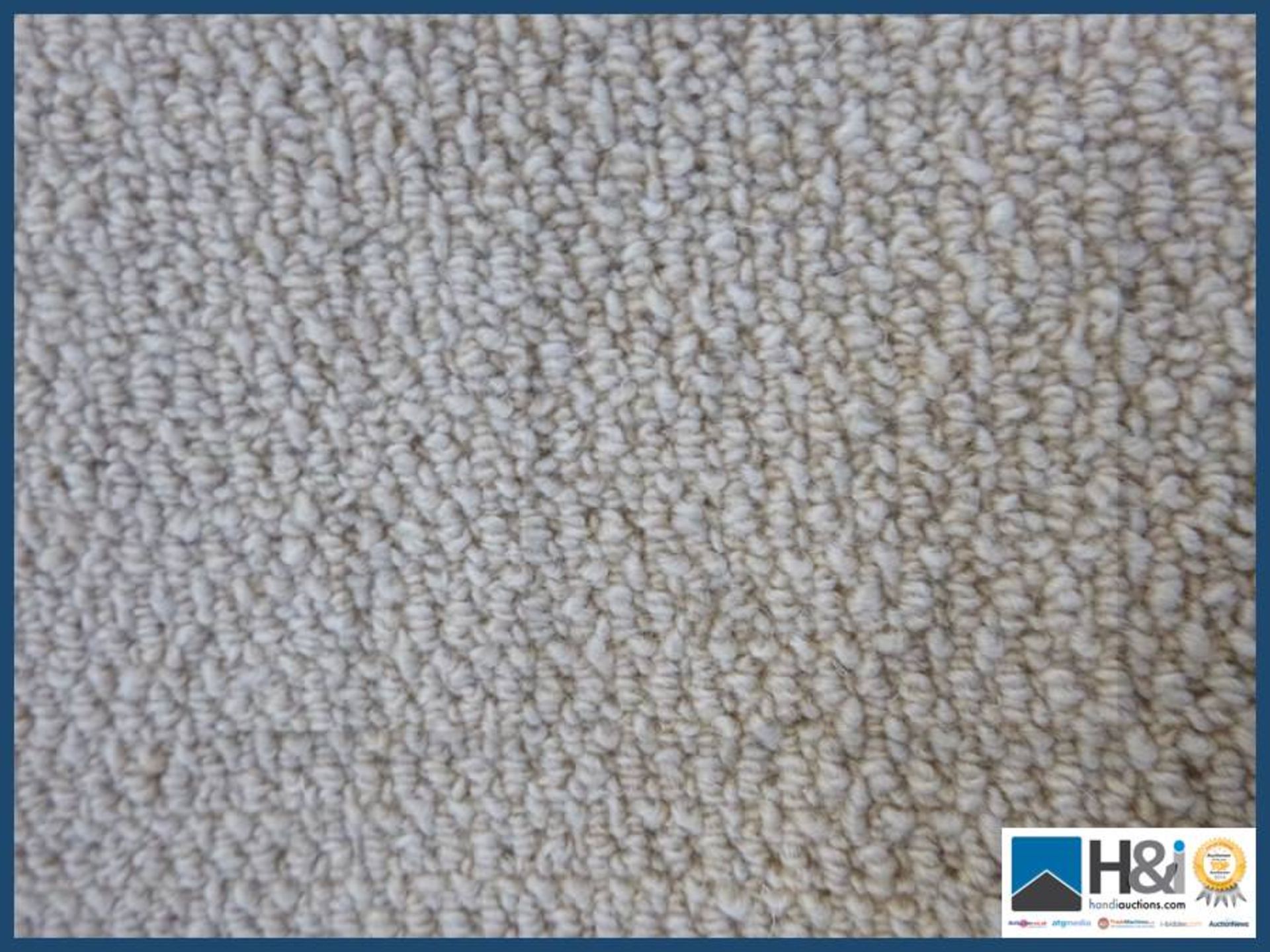 Approx 4m X 5m 100% wool colour shortbread textured low level loop .RRP GBP 25 per square meter.