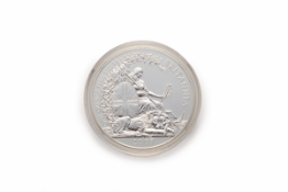 A 2007 TWO POUNDS SILVER BRITANNIA COIN