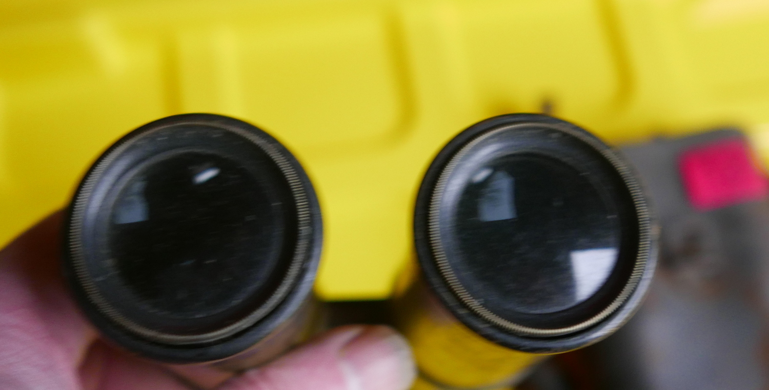 Antique Cased Pair of Binoculars. - Image 3 of 3