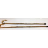 Lot of 2 Horn Handled Walking Sticks 37 1/2" each long.