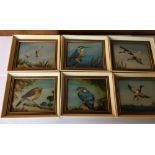 Vintage Lot of 6 signed Framed Miniature Oil Paintings of Birds by Hamilton Studio Rugby c1950s.