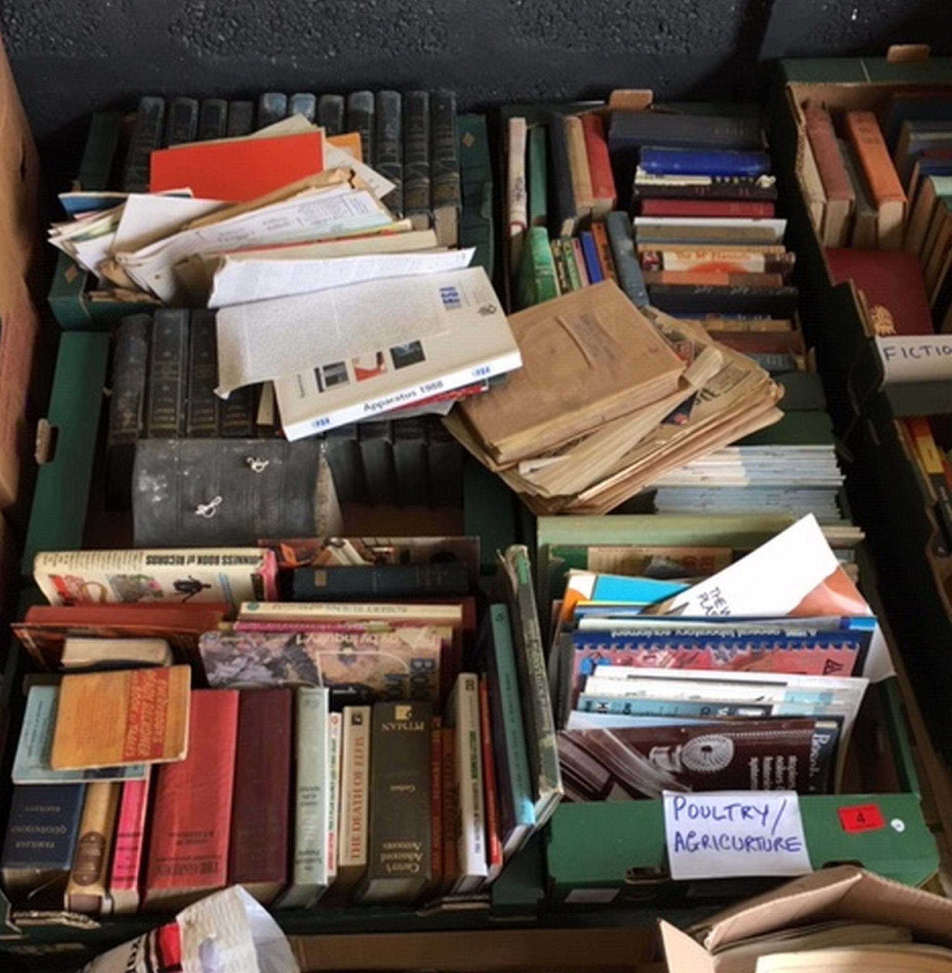 Large Lot of Various Books.