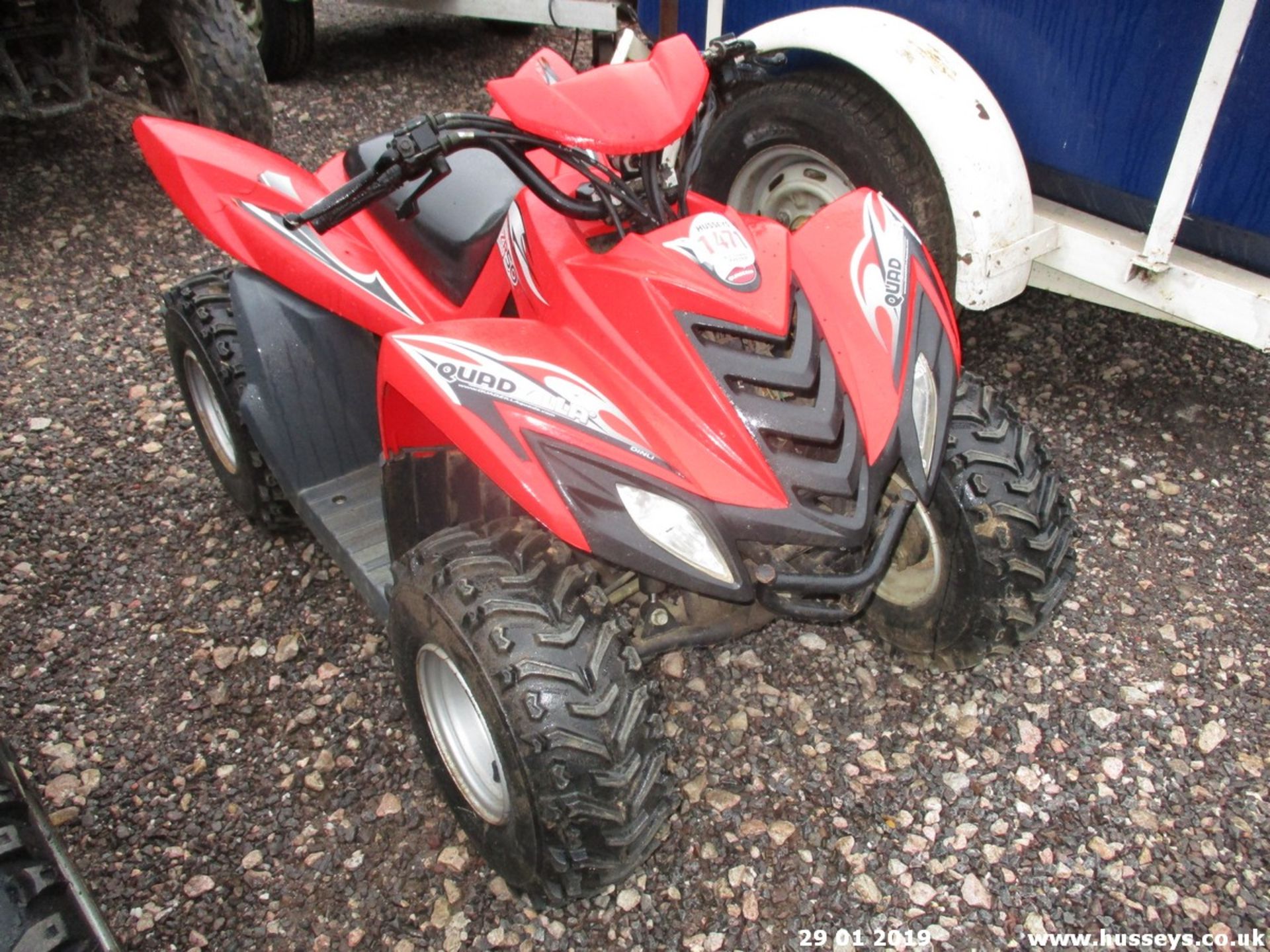 QUADZILLA CHILDS QUAD