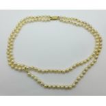 A double string of cultured pearls with 9ct gold clasp