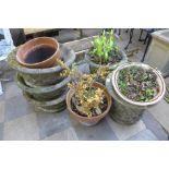 Five concrete plant pots and three terracotta plant pots