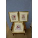 A set of three dragonfly and butterfly prints,