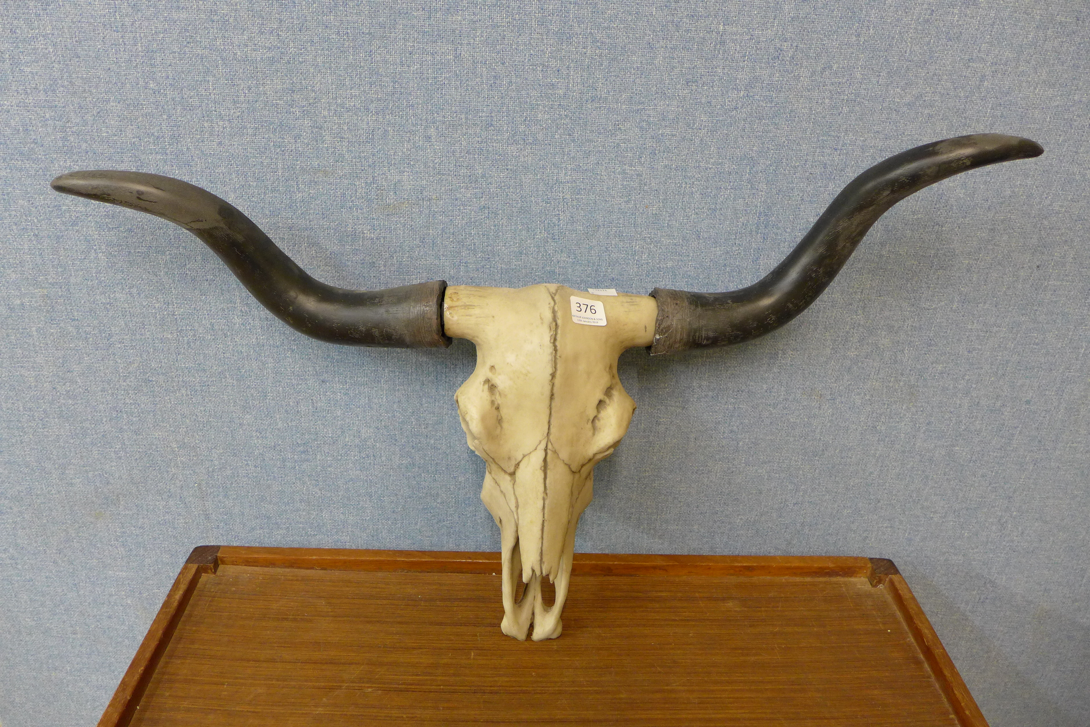 A composite bull's skull