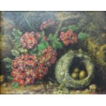 English School, still life of flowers and birds nest, oil on panel, 18 x 23cms,