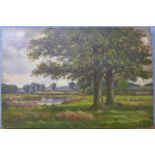 English School (early 20th Century), rural landscape with cows, oil on canvas, 30 x 46cms,