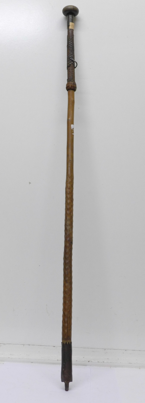 A 19th Century hawthorn walking cane with hidden spear - Image 8 of 10