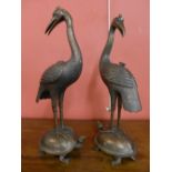 A pair of Japanese bronze cranes stood on turtles,