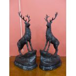 A pair of French style bronze stags, on black marble plinths,