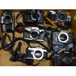 Six camera bodies, Minolta, Pentax, Olympus, etc.
