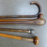 Four walking canes and a walking stick