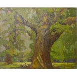 Basil Baston, forest landscape, oil on board, 30 x 38cms,