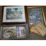 A framed set of cigarette cards, tea card albums, cigarette cards, prints, etc.