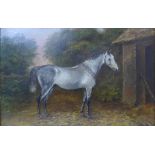 English School, portrait of a grey stallion, oil on panel, 29 x 44cms,