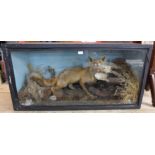 A taxidermy fox and prey,