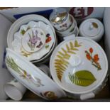 Royal Worcester kitchenware,