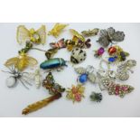 A collection of insect and spider brooches