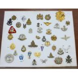 A collection of mainly British military badges including one Notts & Derby