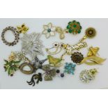 Costume brooches