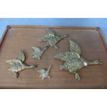 A set of five graduated brass flying wall ducks