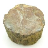 A fossilised part tree trunk, diameter 83cm,