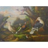 Manner of Edgar Hunt (1876 - 1953), exotic birds in landscape, oil on panel, 31 x 40cms,