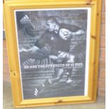 A framed picture of Jonah Lomu,