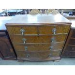 A burr walnut bow front chest of drawers