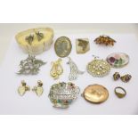 Jewellery including a locket, brooches, earrings, etc.