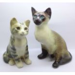 Two Winstanley cat figures, base signed, tallest 25.