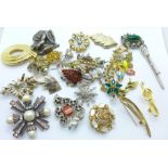 Twenty-five brooches