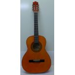 A Stagg classical guitar with soft case