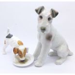 A Royal Doulton figure of a terrier licking a plate and a continental figure of a dog