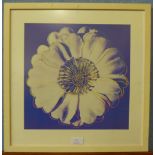An Andy Warhol print, Flower for Tacoma Dome,