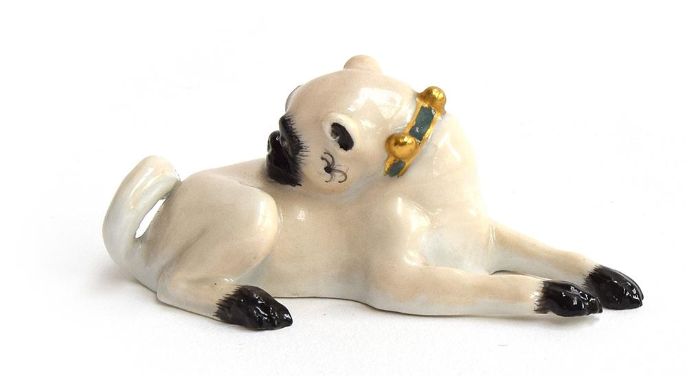 A Meissen model of a pug dog, after J J Kändler, lying down and cleaning his back, wearing a blue