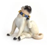 A Meissen model of a pug dog, after J J Kändler, seated on his haunches with head turned