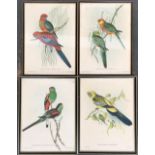 After John Gould and Henry C. Richter, four lithograph bird studies, Platycercus Pennanti;