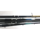 Various sea fishing rods, including an Abu Garcia 500 10' boat rod; a Saracen 12' beach caster; a