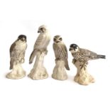 A group of four ceramic sculptures of a seated male peregrine falcon, merlin, kestrel, and hobby,