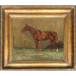 20th century British, Chestnut Hunter, oil on board, initialed lower right and dated 1913, 40x49.5cm