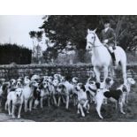 A large collection of approximately 500 photos of hounds and huntsmen, some framed. There are photos